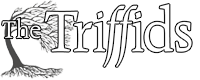 The Triffids Forums